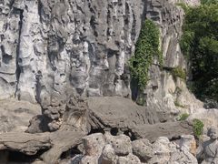 -淹城春秋乐园