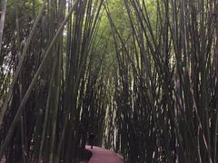 -四洞沟景区