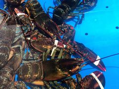 -七鲜超市(万向城店)