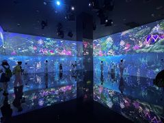 -中国湿地博物馆