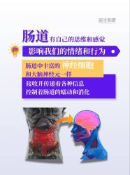 -安吉拉青春化管理中心