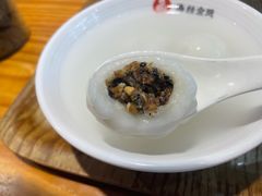 -海丝金凤(金鱼店)