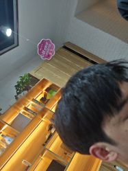 -心联形象设计·流星染