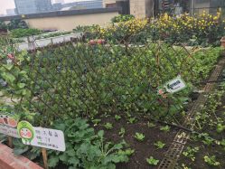 -梦田都市农场(银泰城店)
