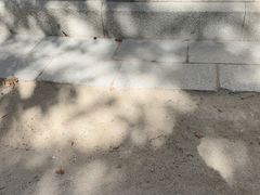 -丽池公园