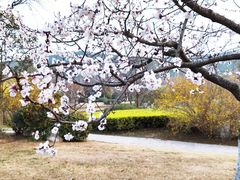 -云龙湖旅游景区