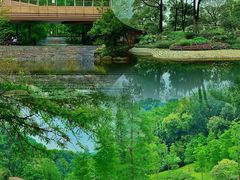 -云溪植物园