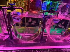 -沈阳海洋探索中心