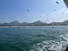 -海驴岛(荣成市)
