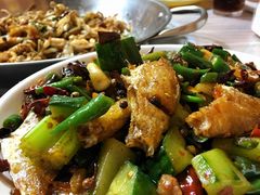 耗儿鱼-呱呱兔庄