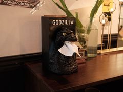 -MOLECULECOFFEE.MANDO 莫勒喝咖啡