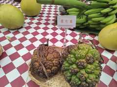 -呀路古热带植物园
