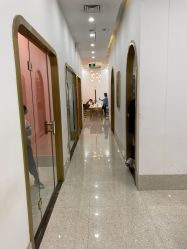-YESIDO椰岛造型