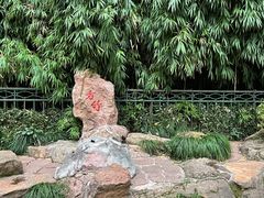 -杭州黄龙洞