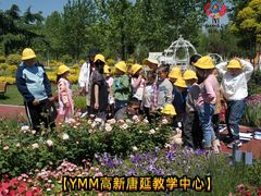 -杨梅红艺术教育(西安高新唐延教学中心)