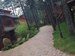 -洛阳白云山景区