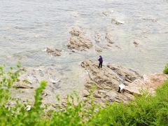 -养马岛旅游度假区