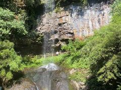 -龙苍沟森林公园