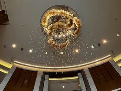-深圳星河丽思卡尔顿酒店
