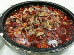 -龙梅肥肠鱼(明瓦廊店)