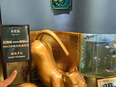 -黄晓猫剁椒大鱼头(海岸城店)