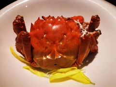 清蒸大闸蟹-蟹榭·本帮江浙菜·蟹宴(五角场合生汇商场店)