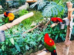 -南宫五洲植物乐园