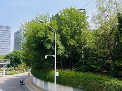 -玲珑塔公园