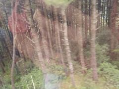 -苍山感通索道