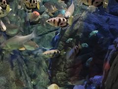 -成都浩海立方海洋公园