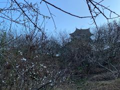 -广州市流溪河国家森林公园