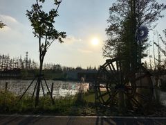 景点-上海长兴岛郊野公园