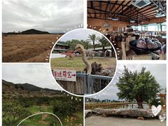 -琅岐红光湖公园