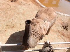 -西霞口神雕山野生动物世界