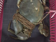 -龙海鲜螃蟹王(宏茂桥店)