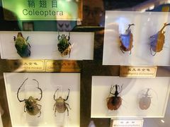 -上海昆虫博物馆