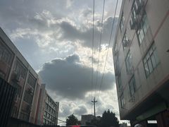 -滨力健身俱乐部