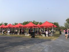 -春花秋色城市公园