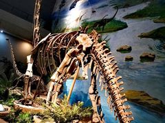 -自贡恐龙博物馆