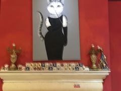 -猫色咖啡·猫咖