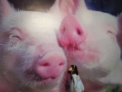 -chi K11艺术空间展览厅