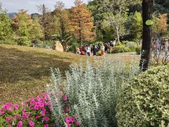 -云溪植物园