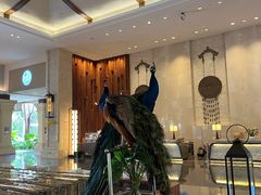 -西双版纳融创皇冠假日度假酒店