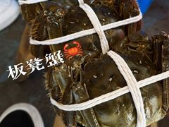 -阳澄湖半岛旅游度假区