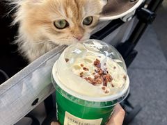 -裕莲茶楼(兴业太古汇店)