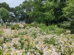 -国家植物园南园