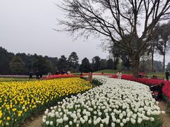 -保利石象湖景区