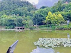 -神光山国家森林公园