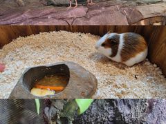 -正佳雨林生态植物园