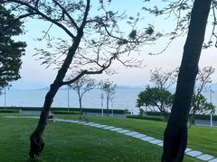 -深圳湾公园(南山区)